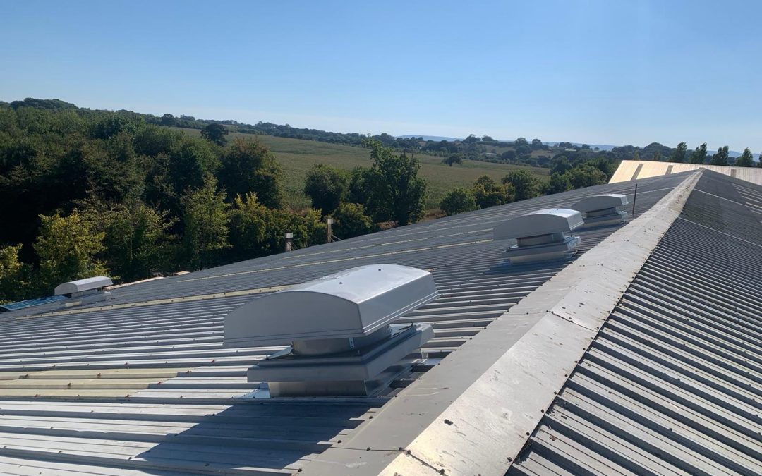 The Real Cost of Poor Air Quality in the Workplace for Industrial Businesses